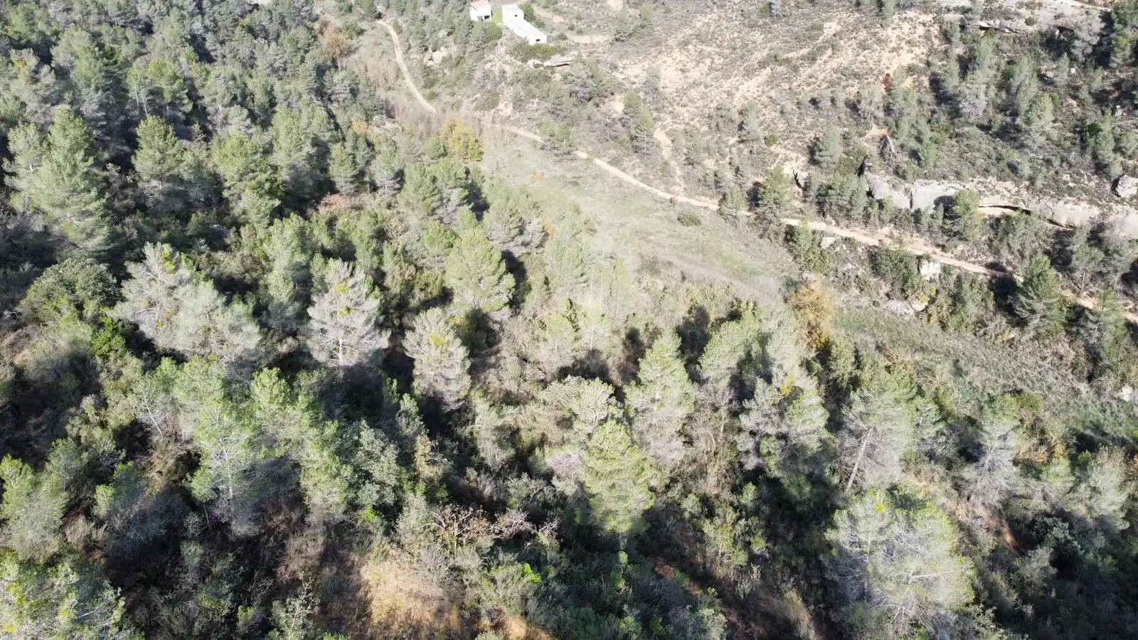 Terreno rustico in vendita a Cervià de Les Garrigues, imagen 41