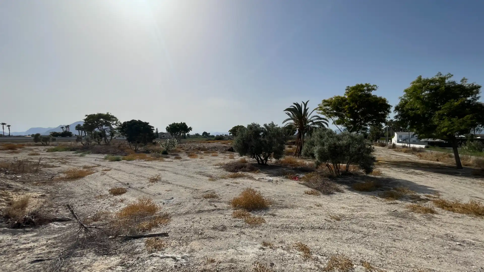 Terreno rustico in vendita a Camino Arroba de Madriguera 182, imagen 14