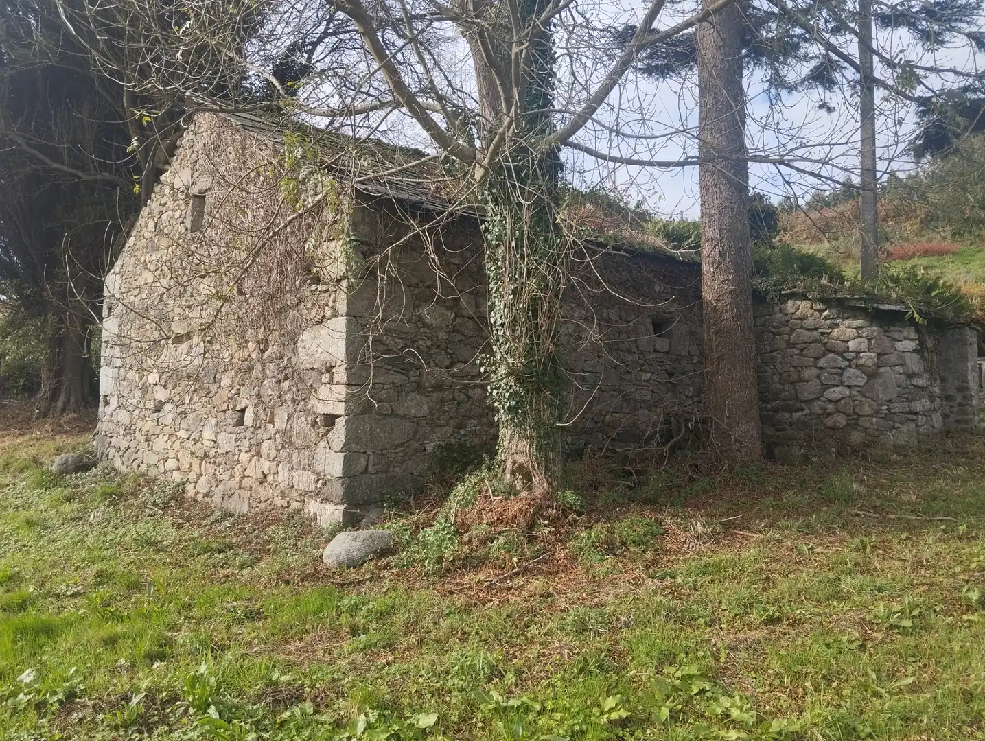 Exterior view of Country homes for sale in Viveiro  with Private garden