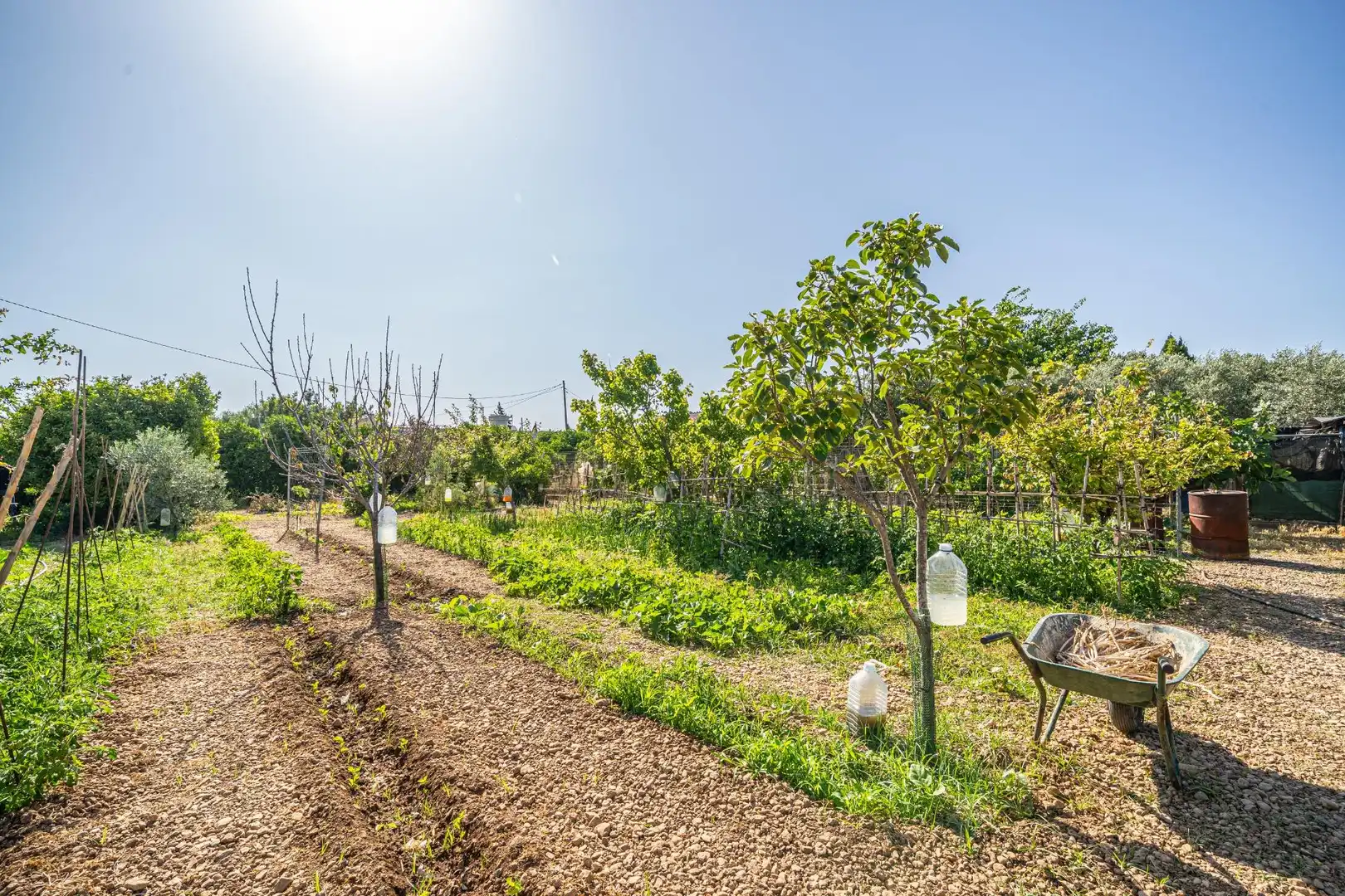 Finca rústica en venta en  Palma de Mallorca con Aire acondicionado, Calefacción y Jardín privado