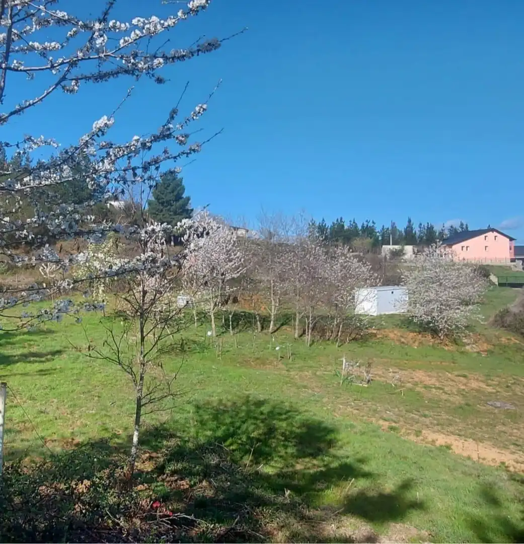 Finca rústica en venta en Molinaseca