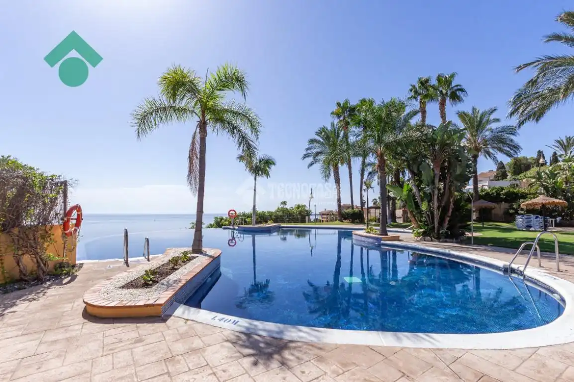 Swimming pool of Flat for rent in Almuñécar