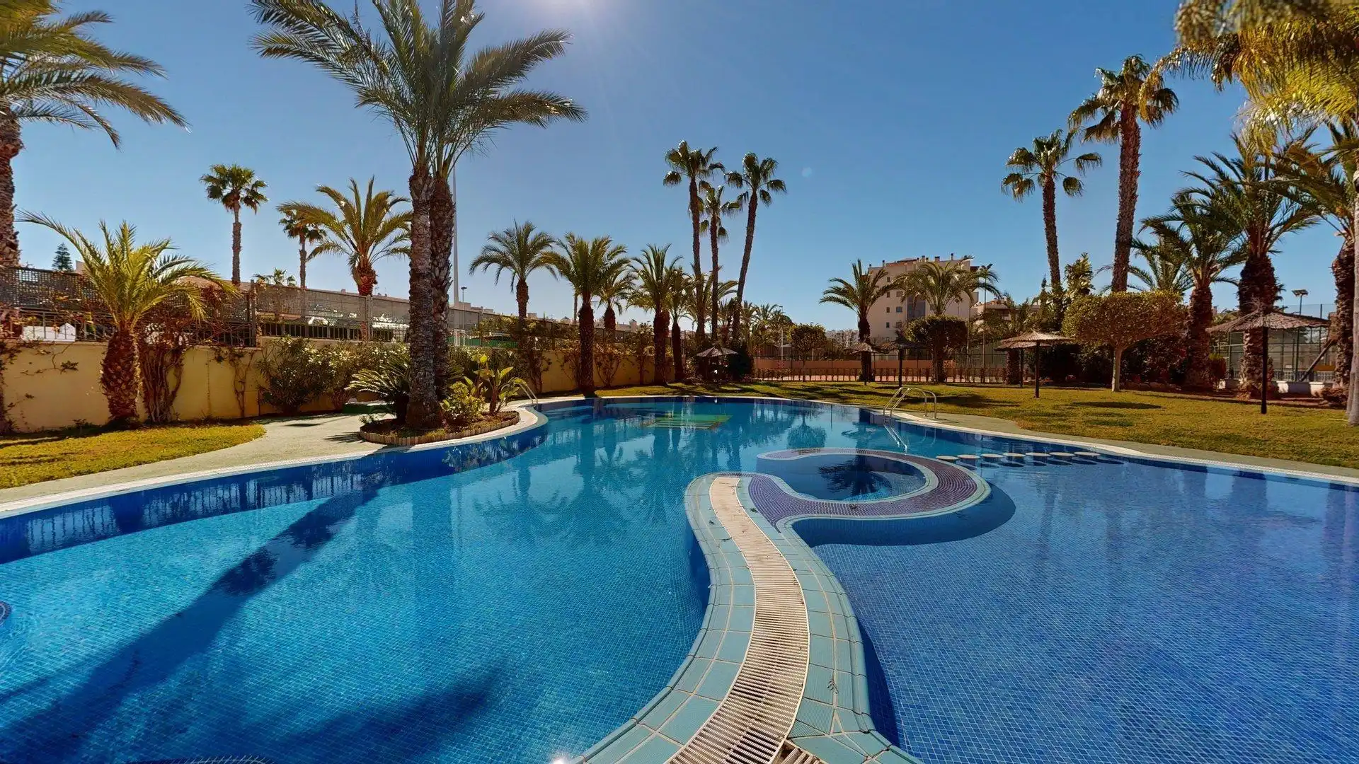 Swimming pool of Apartments for rent in Elche / Elx  with Air Conditioner, Heating and Private garden