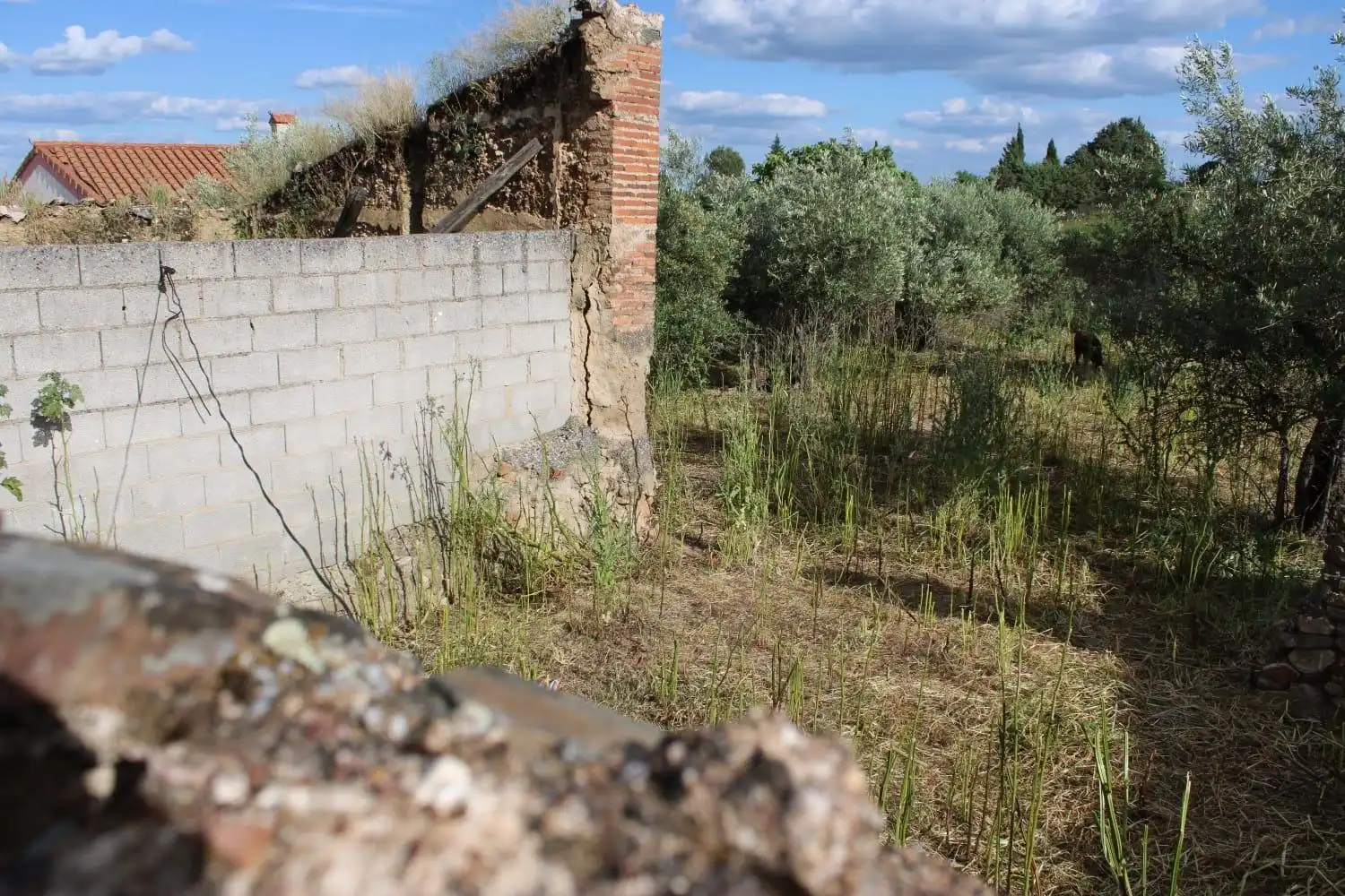 Terreni e lotti in vendita a Sierra de Fuentes, imagen 6