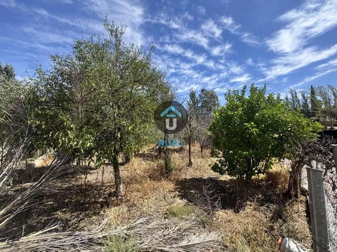 Haus mit Garten zum Verkauf in Calle del Cabo de Rosas, imagen 32