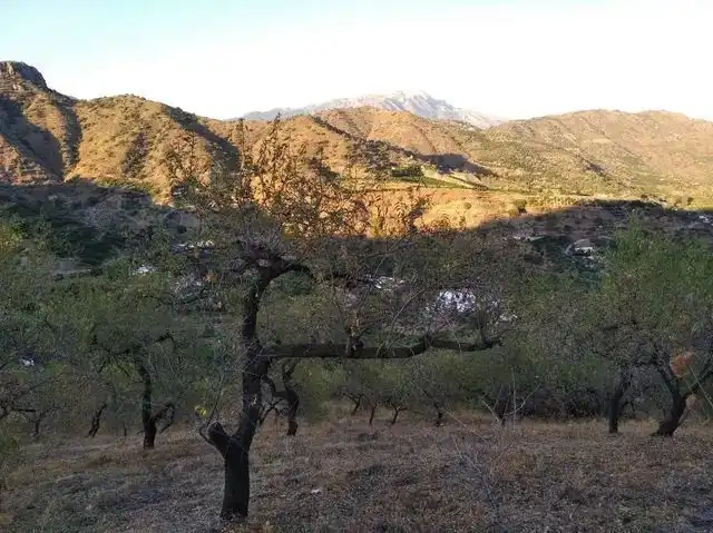 Casa rústica en venda a Benamargosa, imagen 7