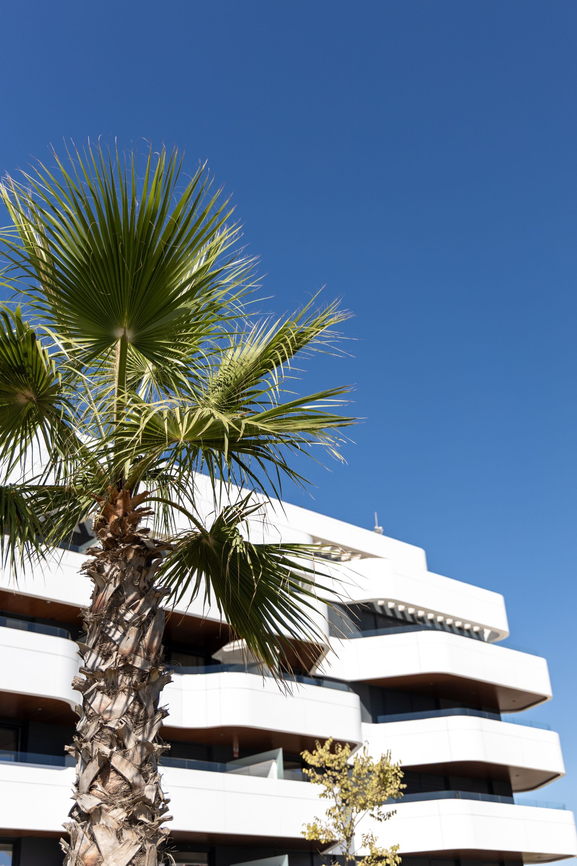 Vista exterior de Àtic de lloguer en Torremolinos amb Terrassa