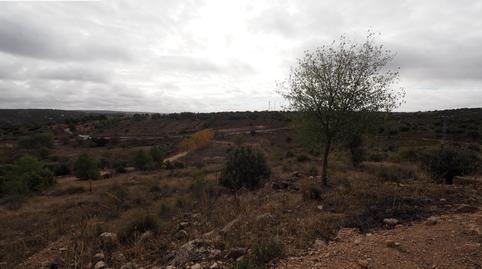 Photo 2 of Country house for sale in Alhambra, Ciudad Real