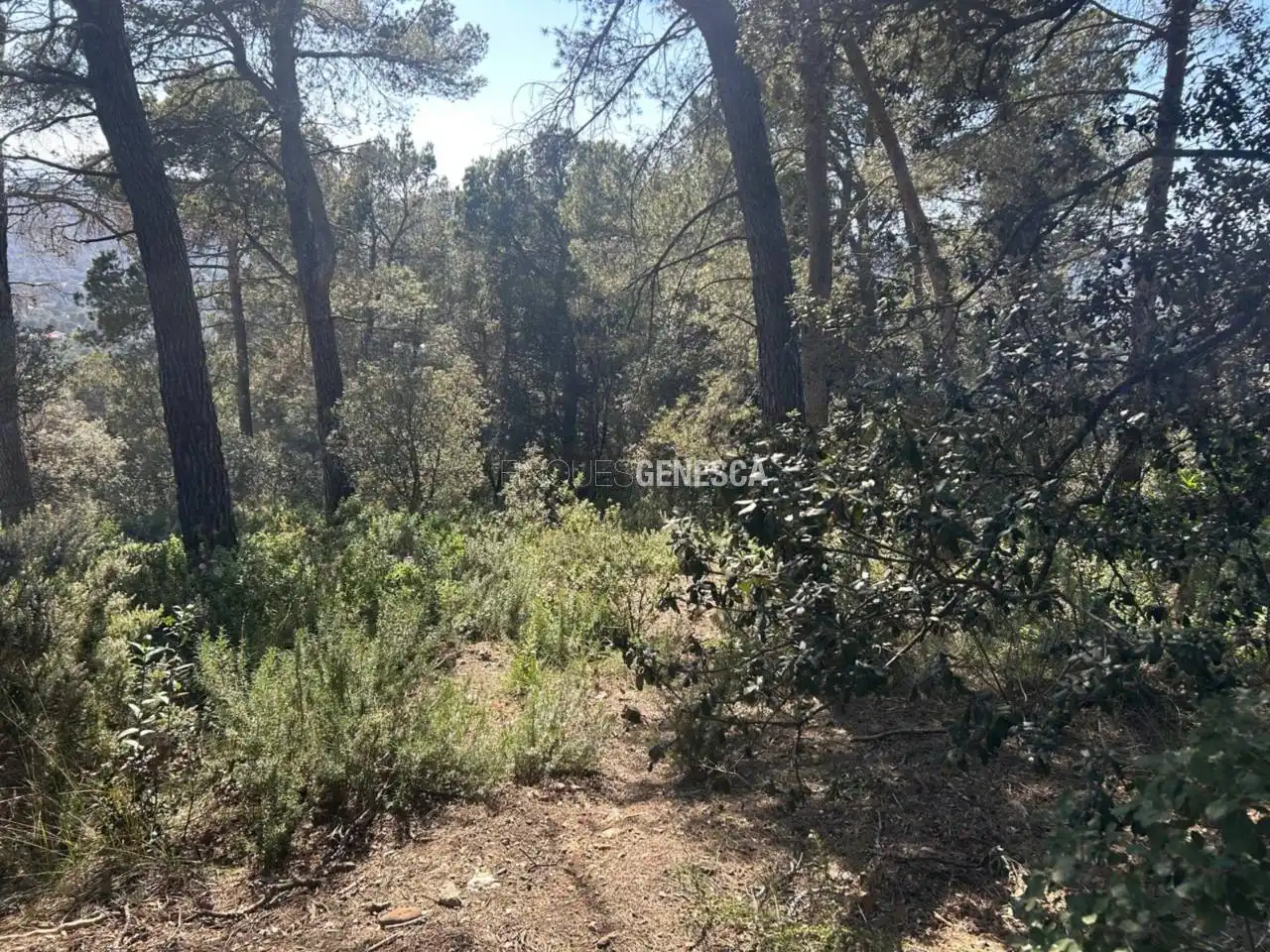 Wohnbaugrundstück zum Verkauf in Calle Camí del Moliner 59, imagen 12