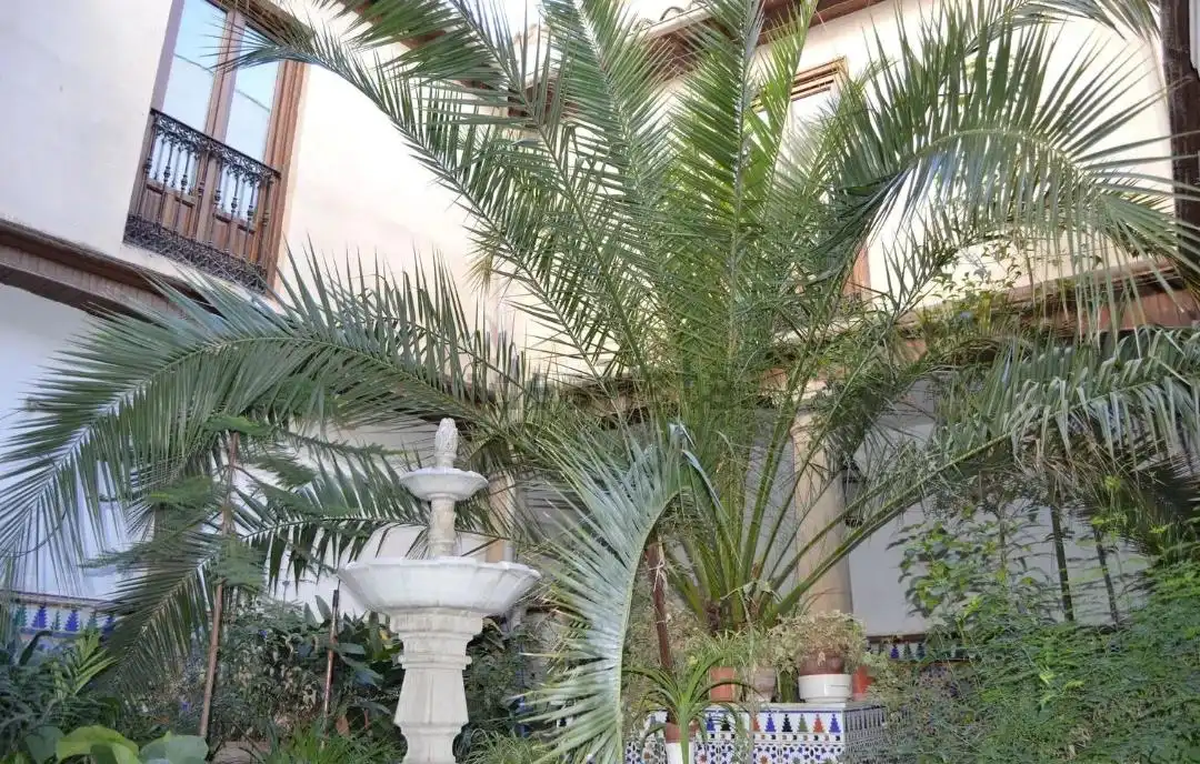 Habitatge amb terrassa en venda a Baeza, imagen 6