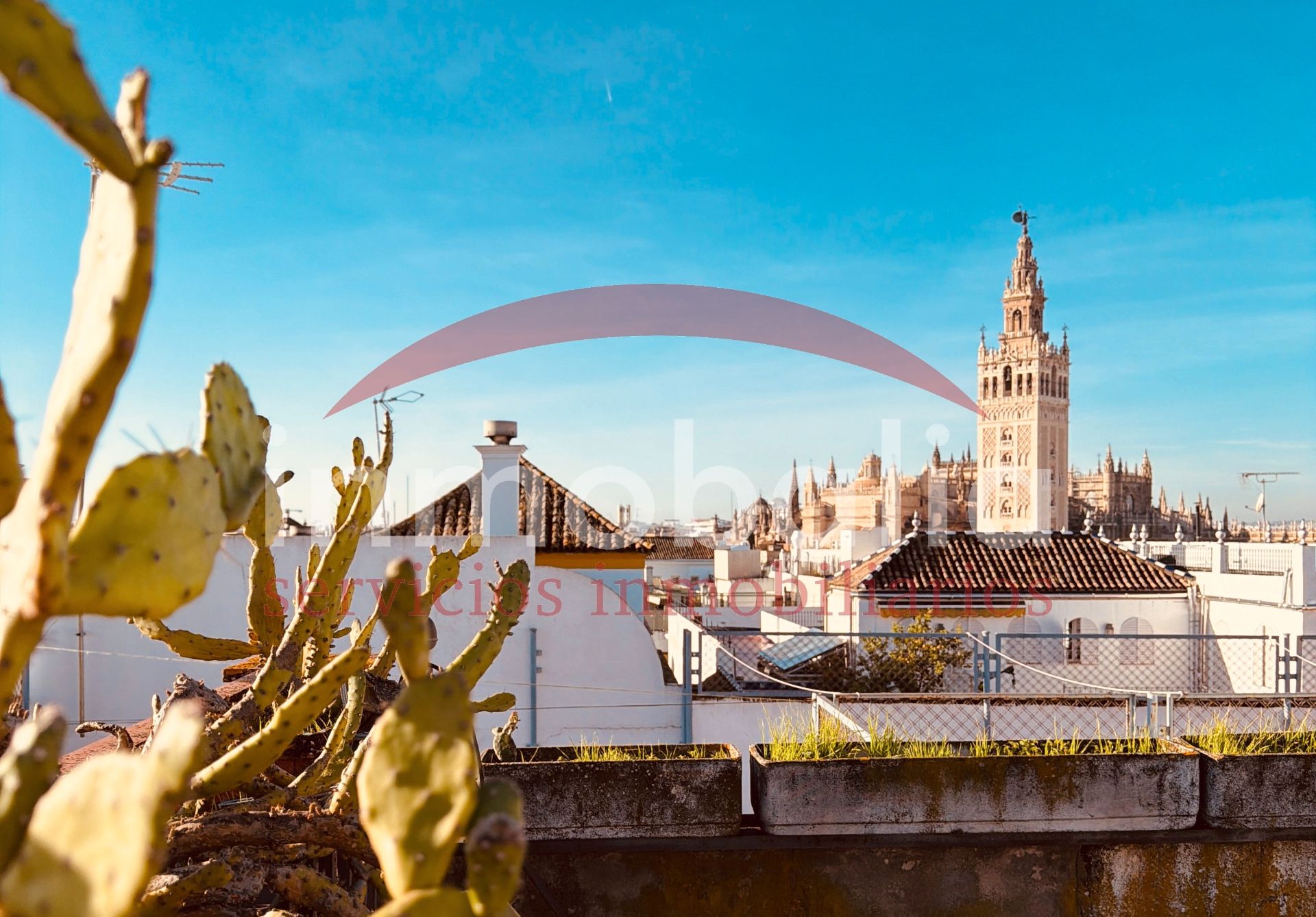 Exterior view of Building for sale in  Sevilla Capital