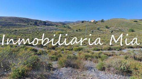 SE VENDE SOLAR DE 20.000 M2 DE SUPERCICE DE PARCELA!, immagine 3