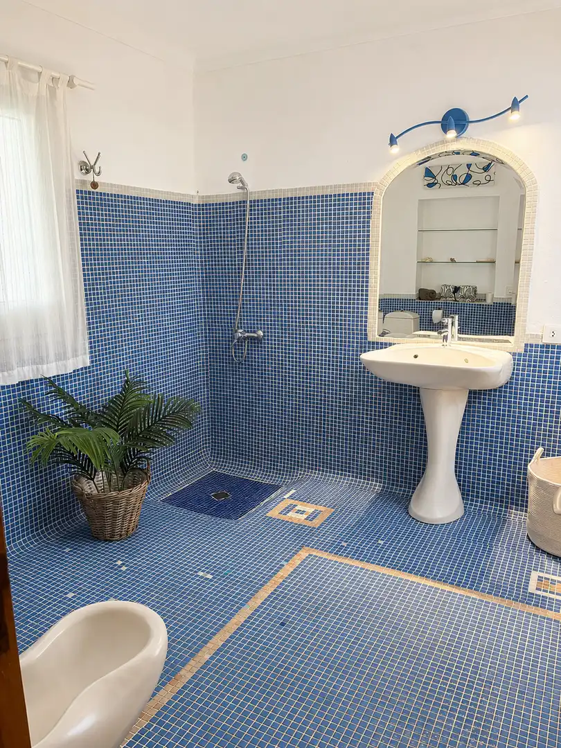 Bany de Casa o xalet en venda en Formentera amb Piscina