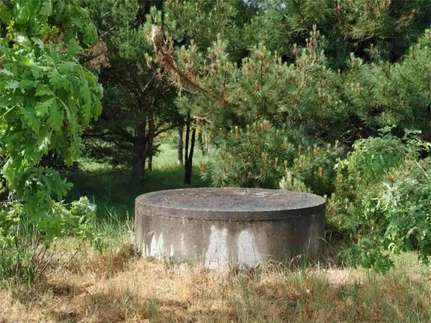 Exterior view of Land for sale in Sandiás