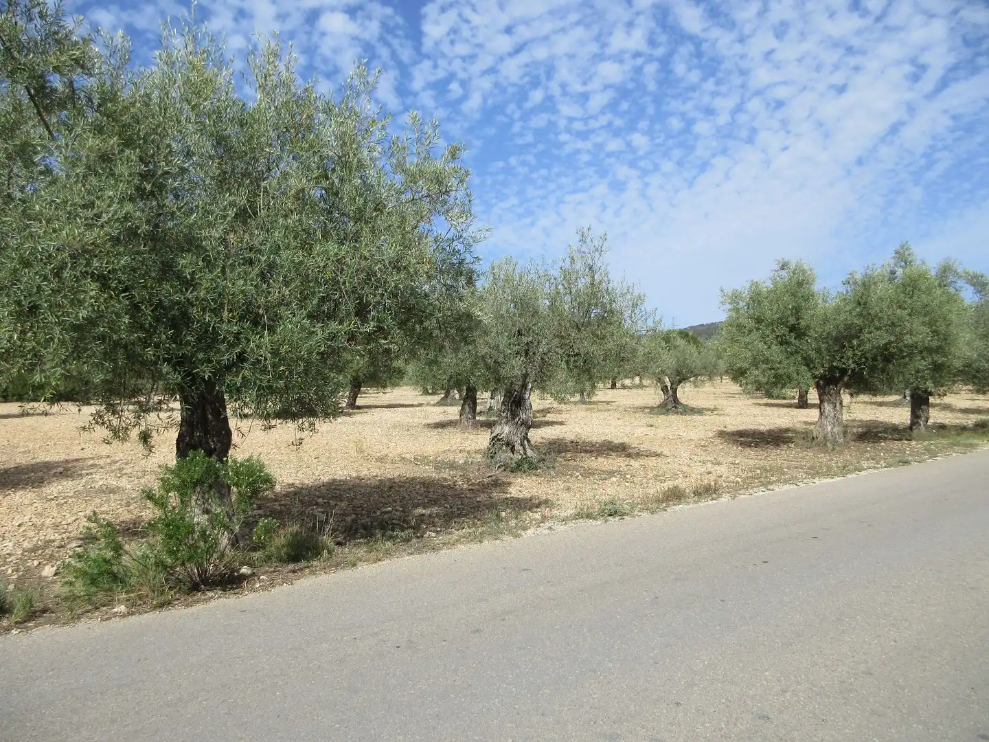 Detached house with garden for sale in Ibi, imagen 6