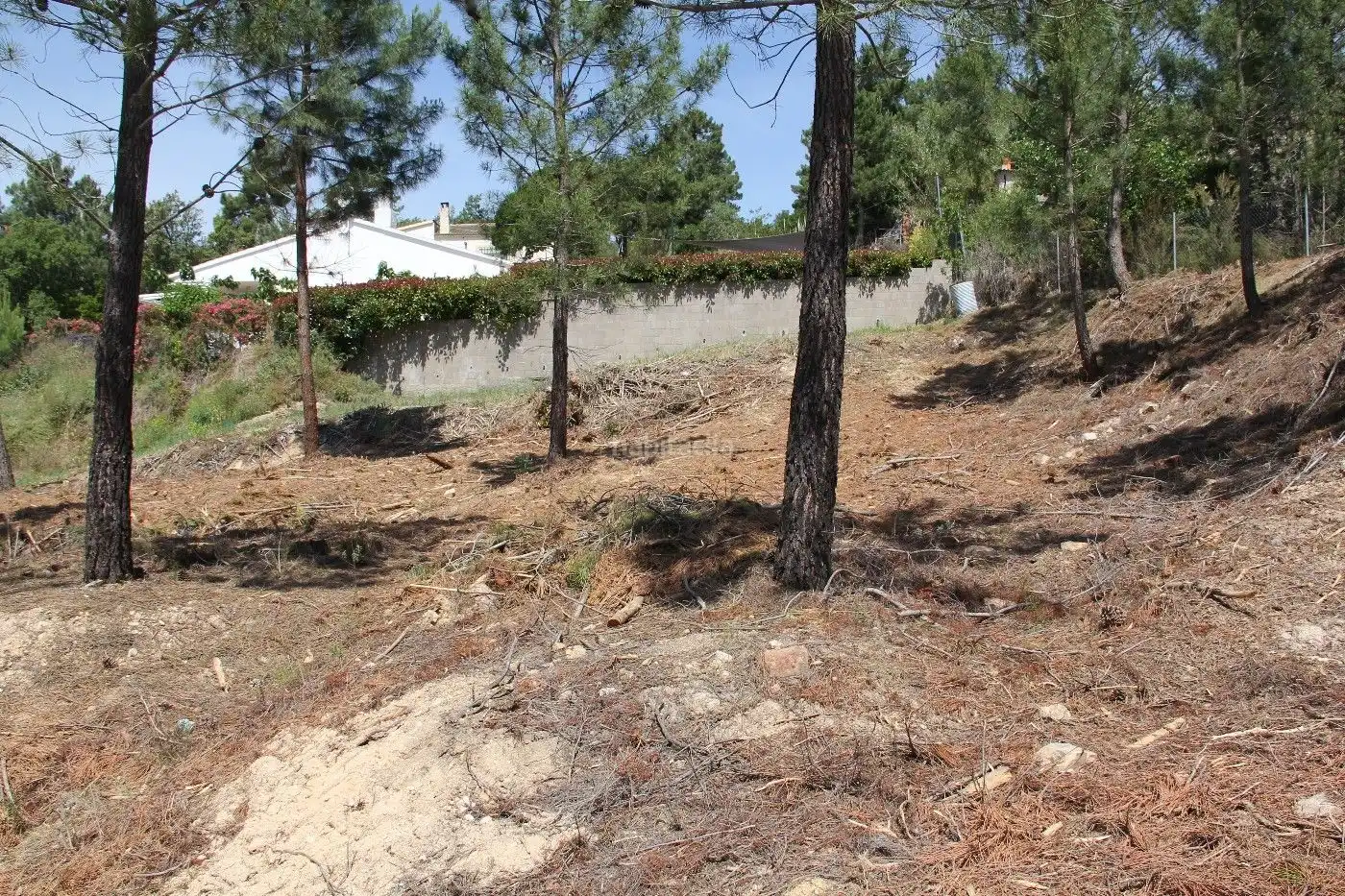 Terreny residencial en venda a Carrer de la Guatlla 24, imagen 4