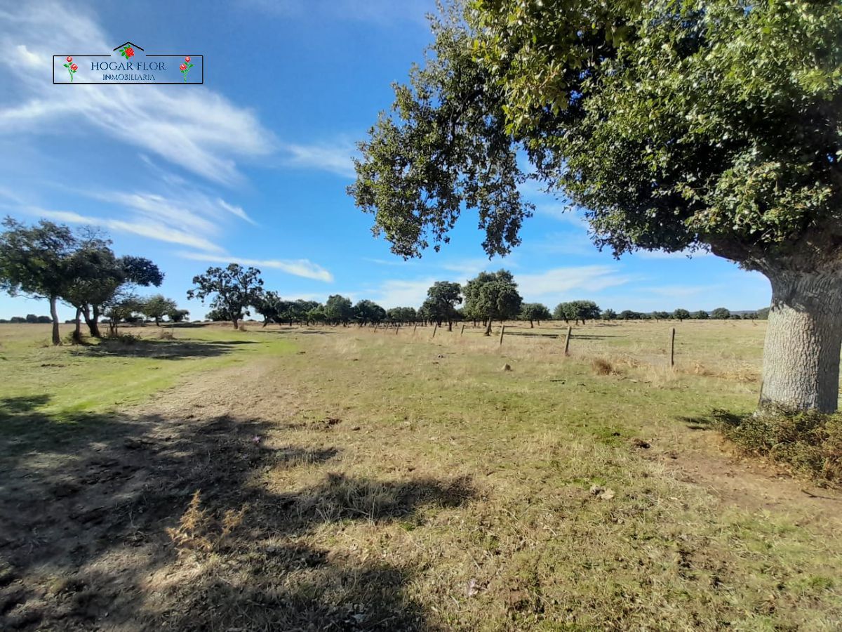 Finca rústica en venda a Carrascal del Obispo