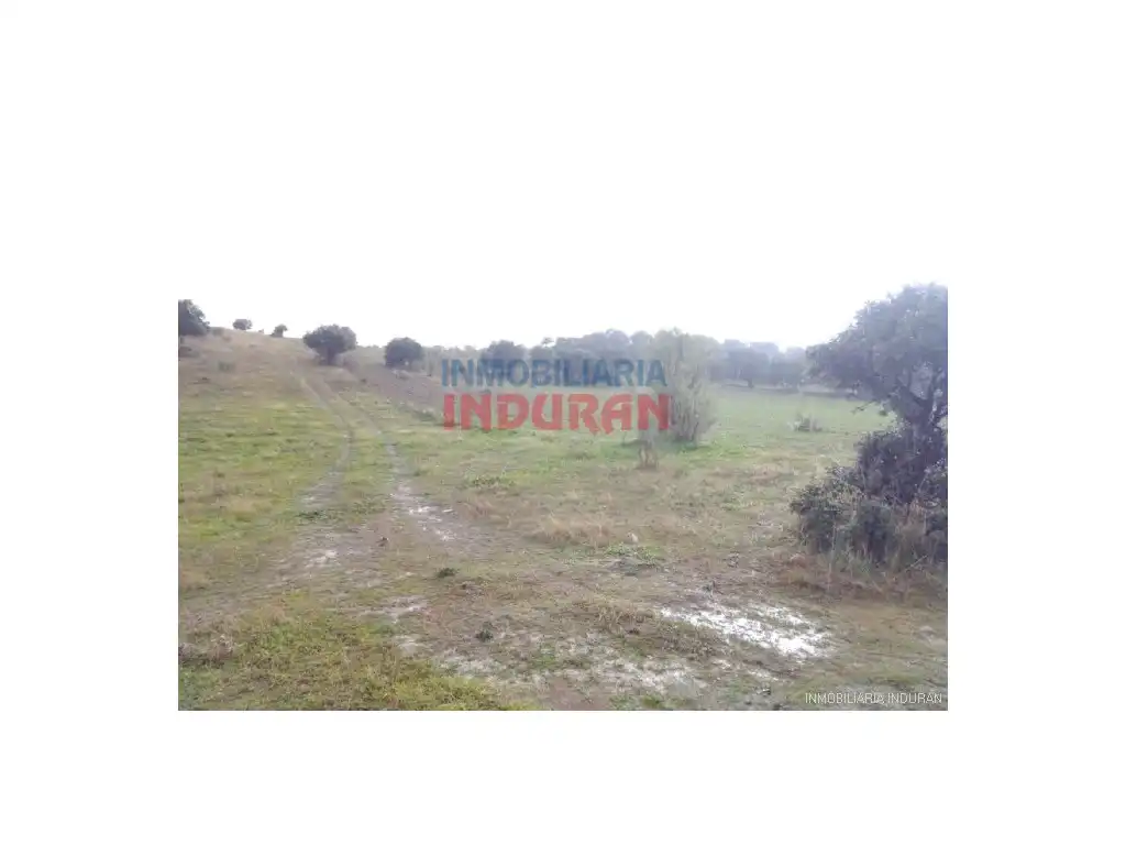 Casa en venda a Villar del Pedroso, imagen 5