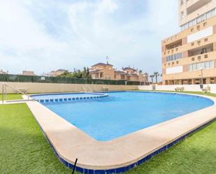 Swimming pool of Apartment to rent in Torrevieja  with Air Conditioner, Terrace and Balcony
