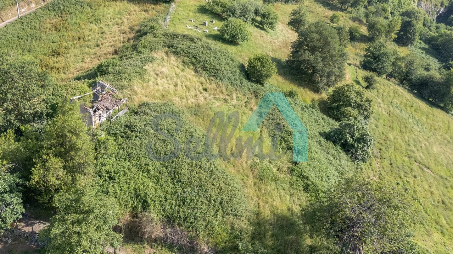 Casa o xalet en venda en Mieres (Asturias) amb Jardí privat i Terrassa