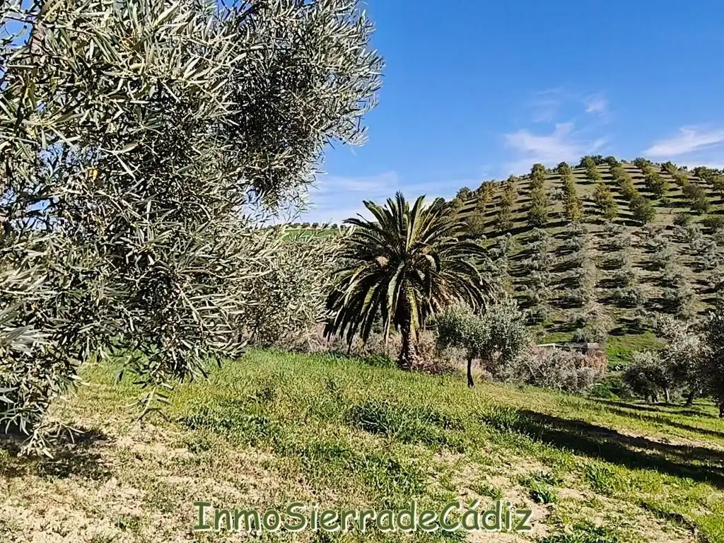 Casa rústica amb piscina en venda a N/A, imagen 29