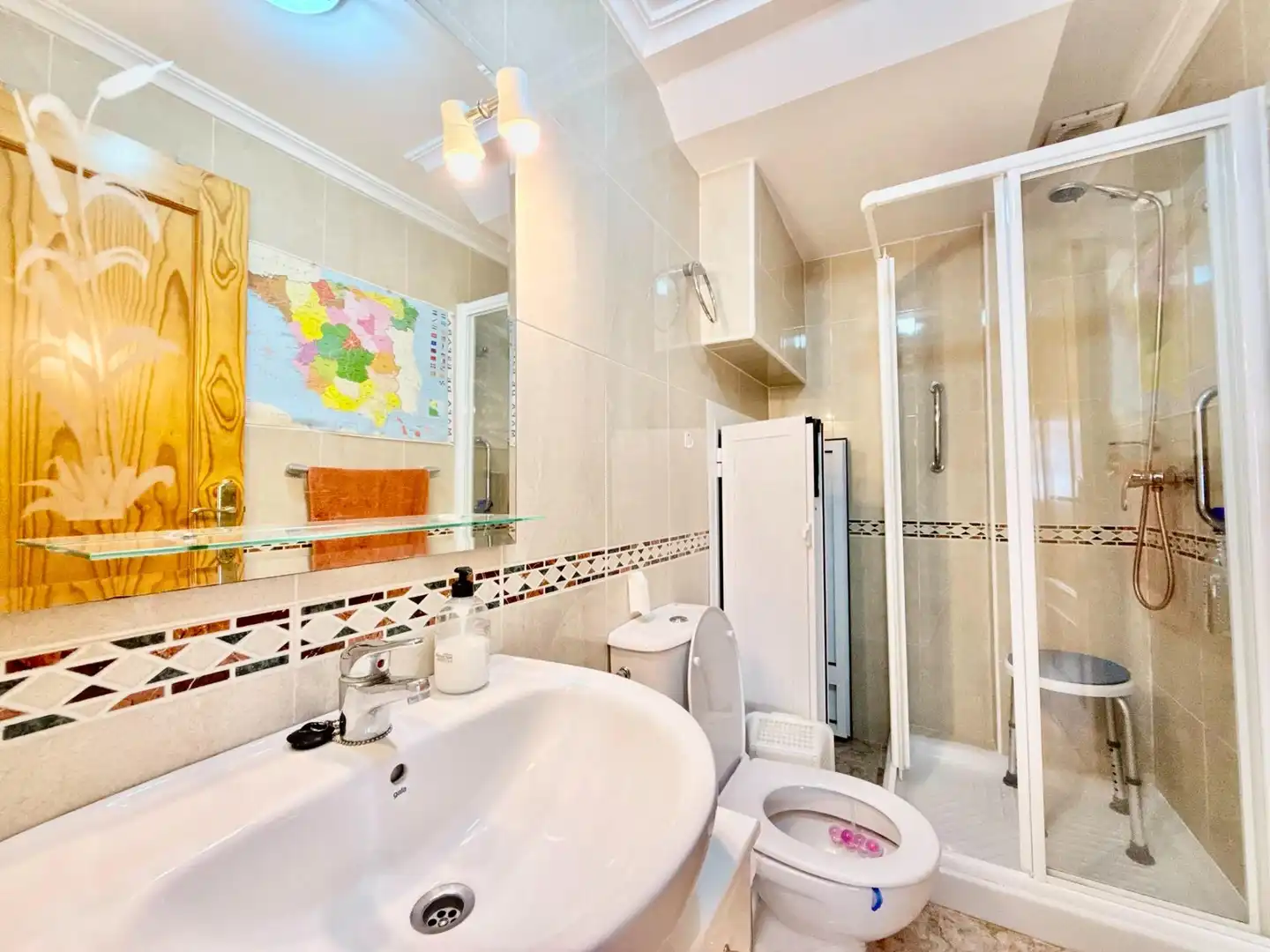 Bathroom of Detached homes for sale in Pilar de la Horadada  with Air Conditioner, Private garden and Terrace
