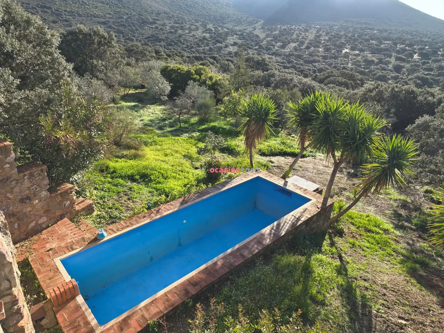 Piscina de Casa o chalet en venta en Santa Eufemia