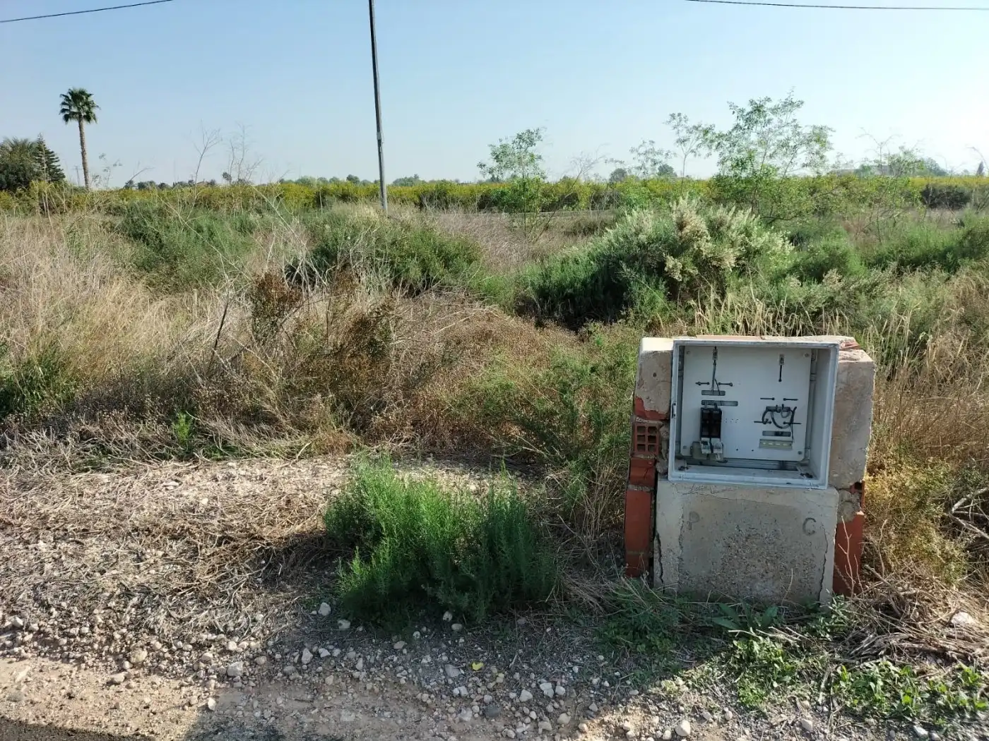 Terreno rustico in vendita a Crevillent, imagen 4