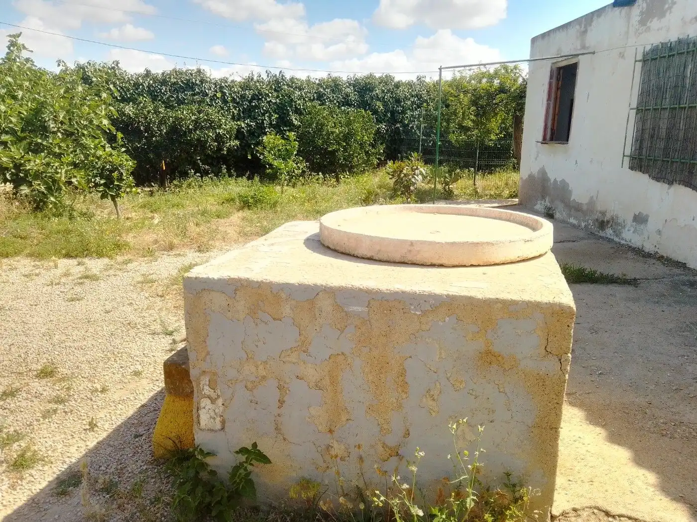 Casa o xalet en venda en Torre-Pacheco amb Terrassa, Traster i Piscina
