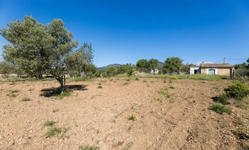 Maison rustique avec jardin à vendre à Alaró, imagen 33