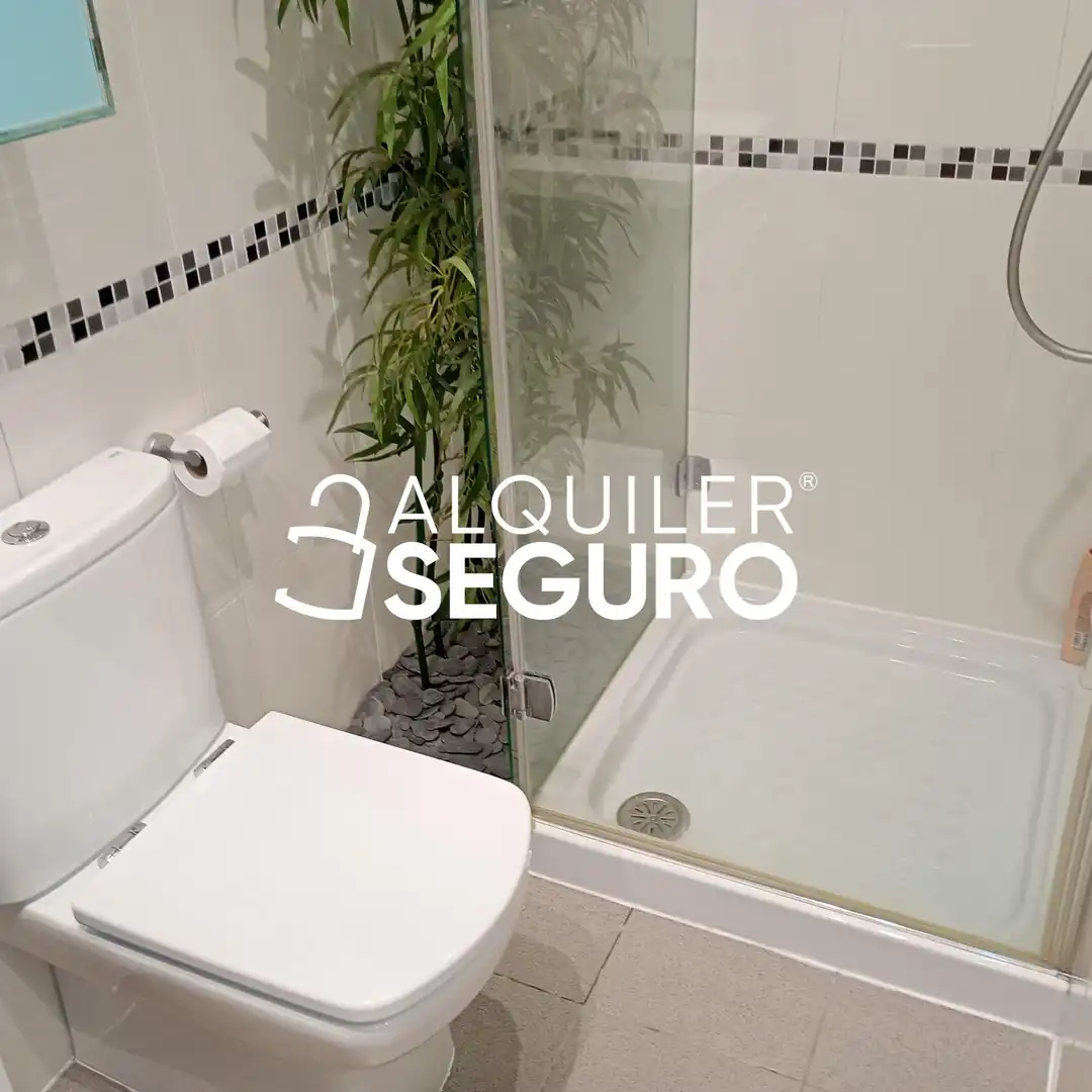 Flat with pool to rent in Pacifico, imagen 24