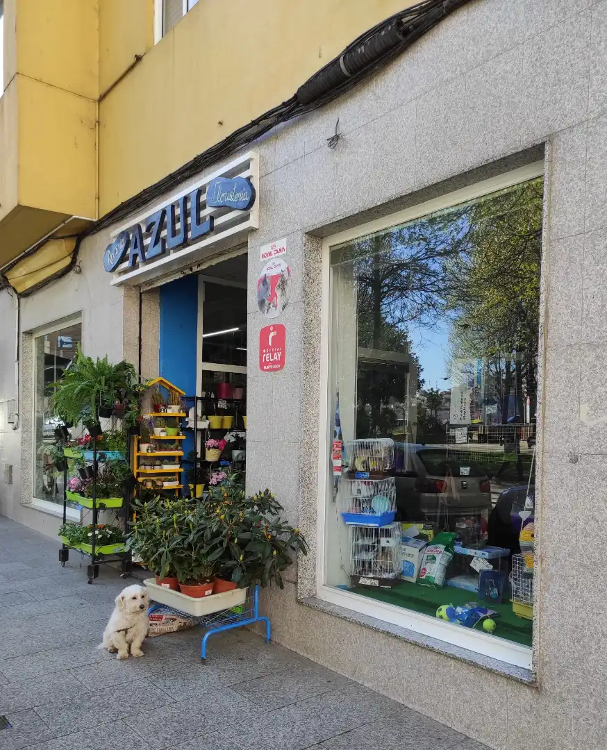 Commercial properties for rent in Vigo   with Furnished