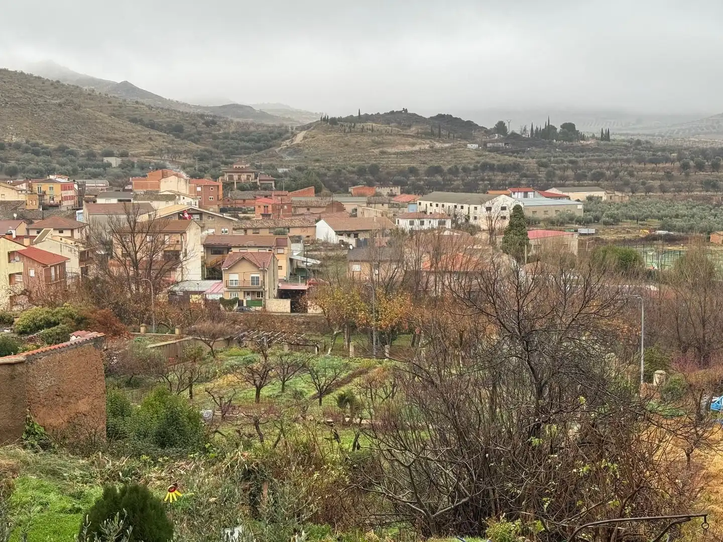 Vista exterior de Terreno en venta en Jarque de Moncayo