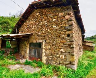 Exterior view of House or chalet for sale in Mieres (Asturias)  with Swimming Pool