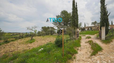 Foto 5 de Casa o xalet en venda a Poligon 11 Rustega, Montuïri, Illes Balears