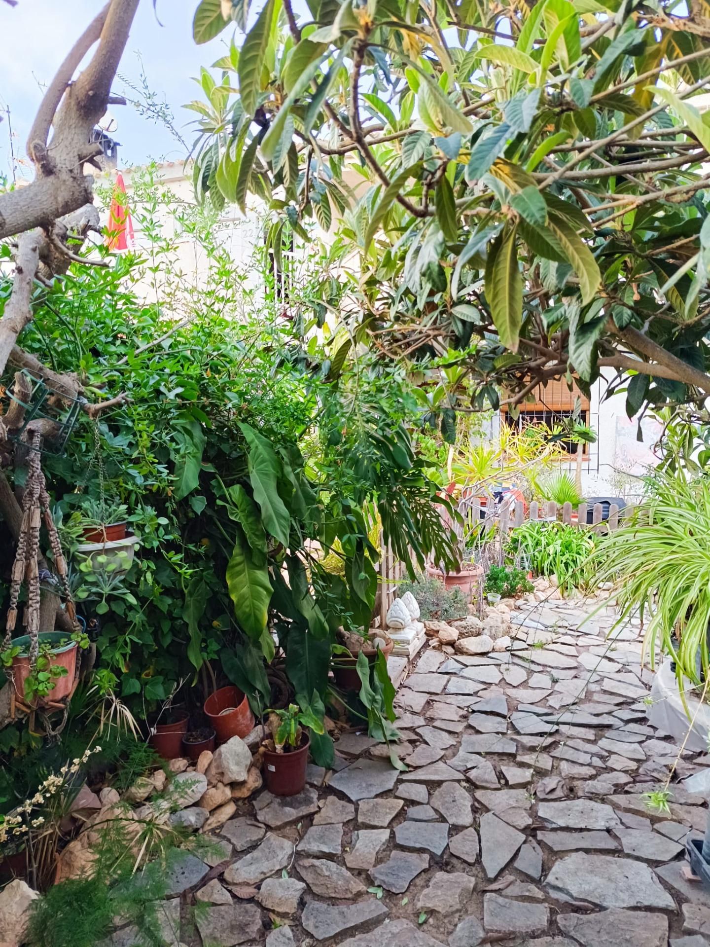 Jardí de Casa o xalet en venda en Orihuela amb Jardí privat, Terrassa i Traster