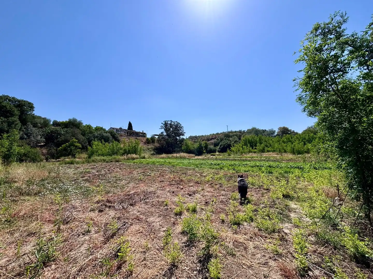 Grundstücke zum Verkauf in Arcos de la Frontera