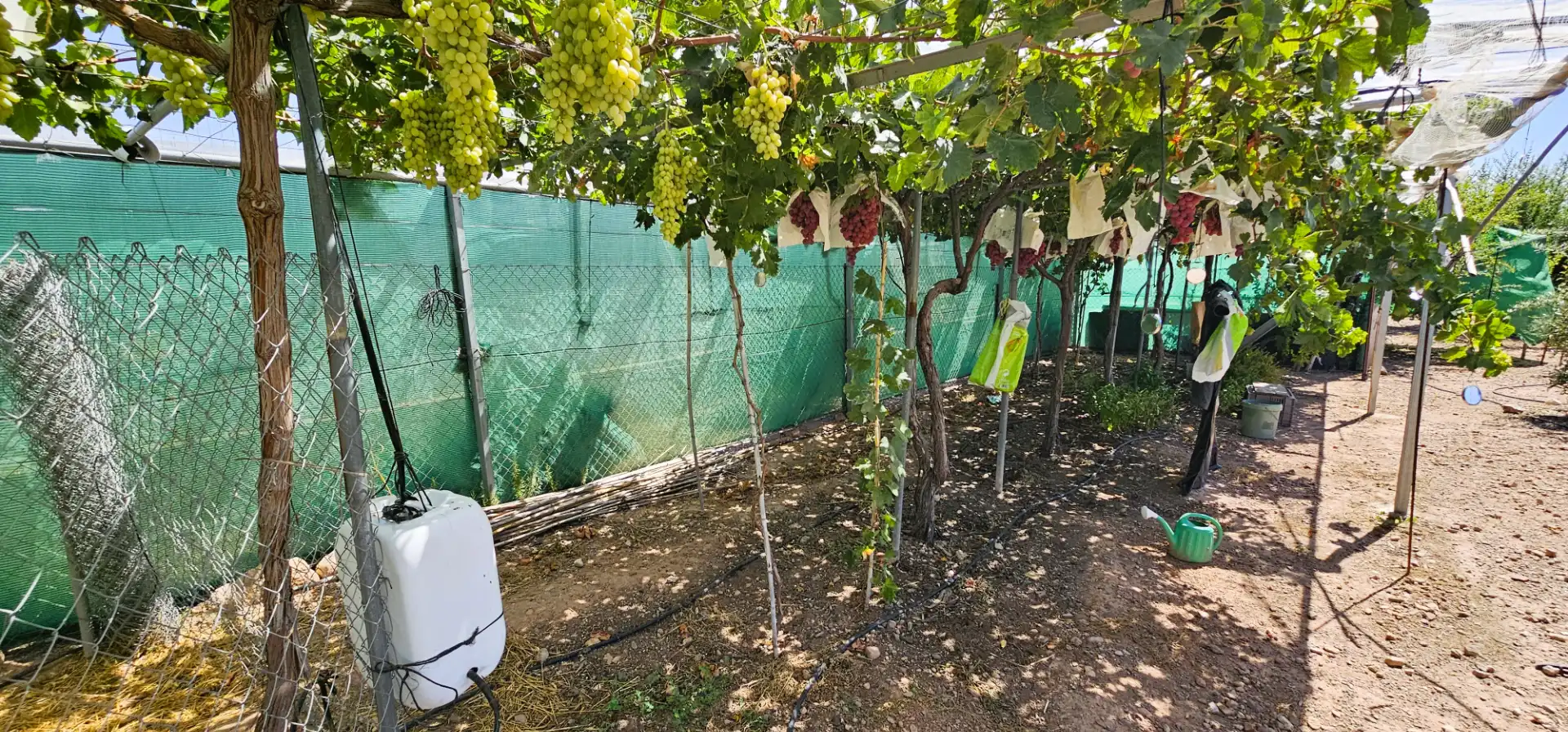 Jardín de Nave industrial en venta en Totana