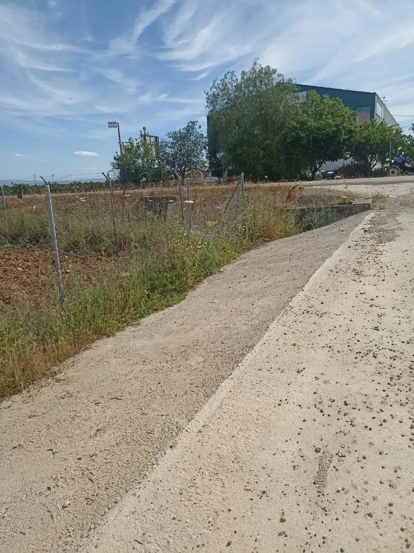 Terreny rústic en venda a Fuente Palmera, imagen 5