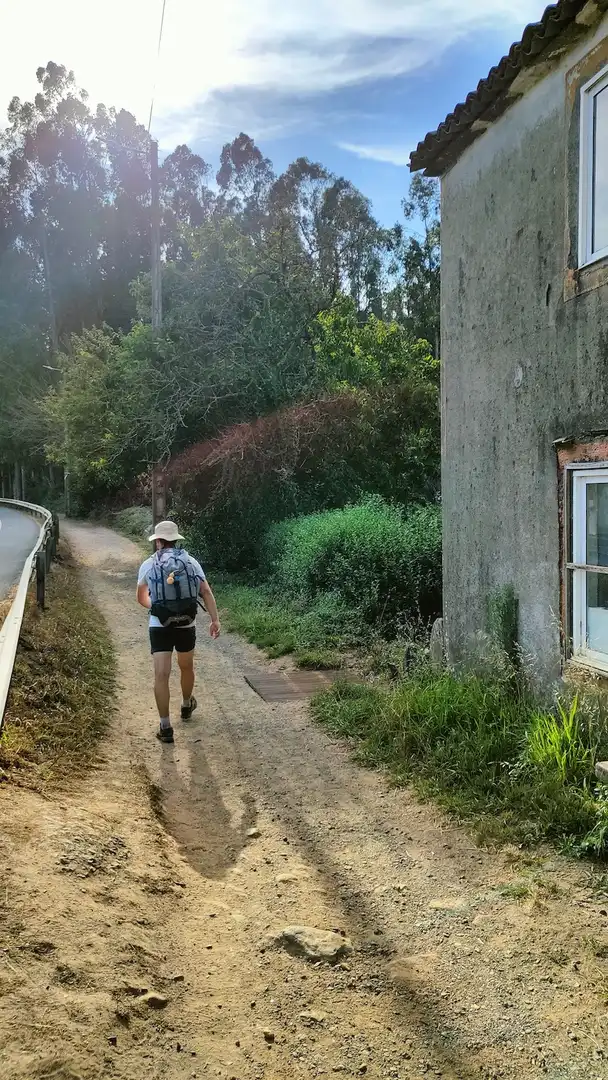 Vista exterior de Casa o xalet en venda en O Pino  amb Jardí privat