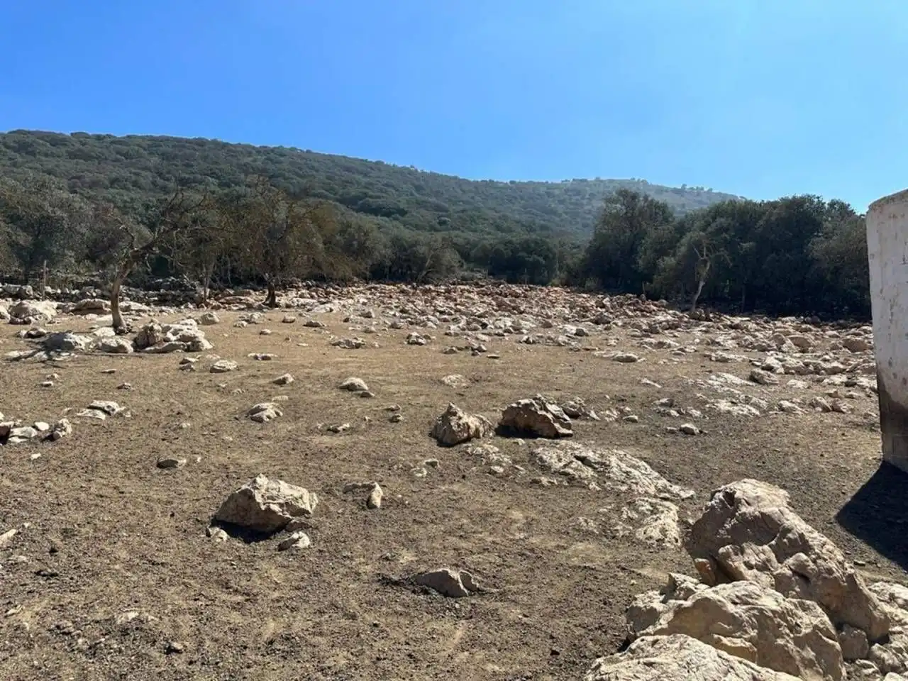 Terreny residencial en venda a Moraleda de Zafayona, imagen 7
