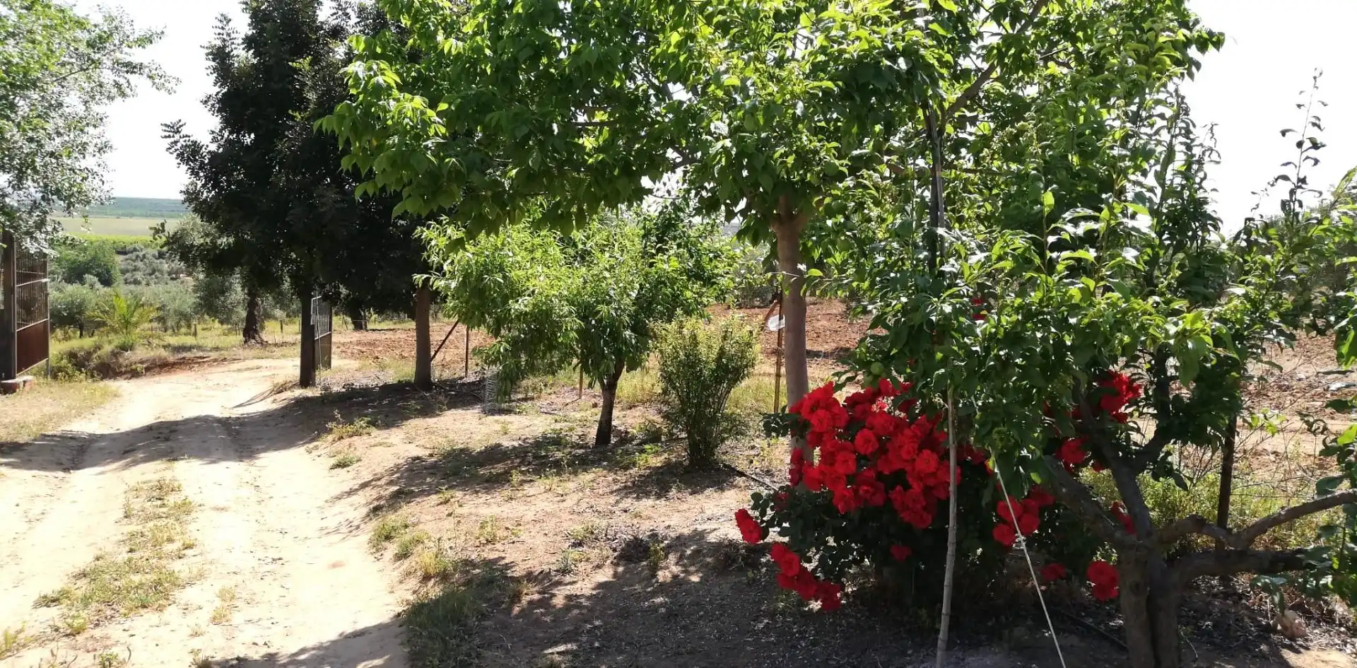 Casa o xalet en venda en Villanueva del Río y Minas amb Jardí privat, Terrassa i Traster