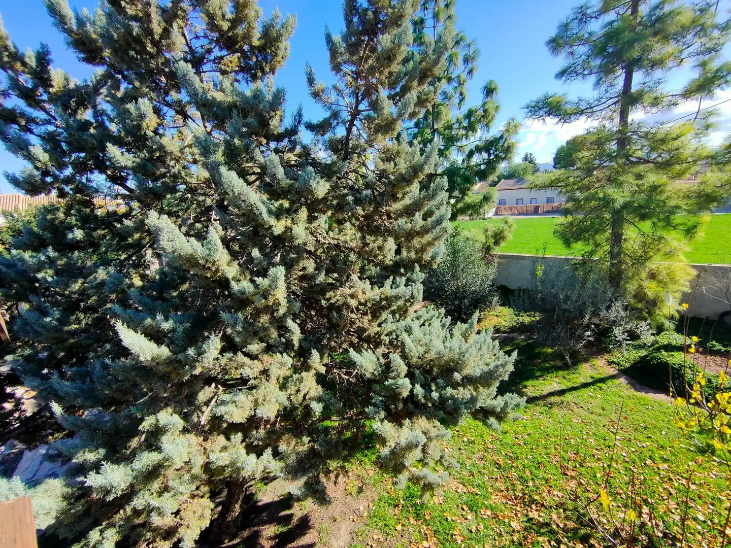 Casa o chalet en venta en Lorca con Jardín privado, Terraza y Trastero