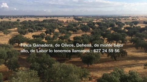 Foto 5 de Residencial en venta en San Roque - Ronda Norte, Badajoz Capital