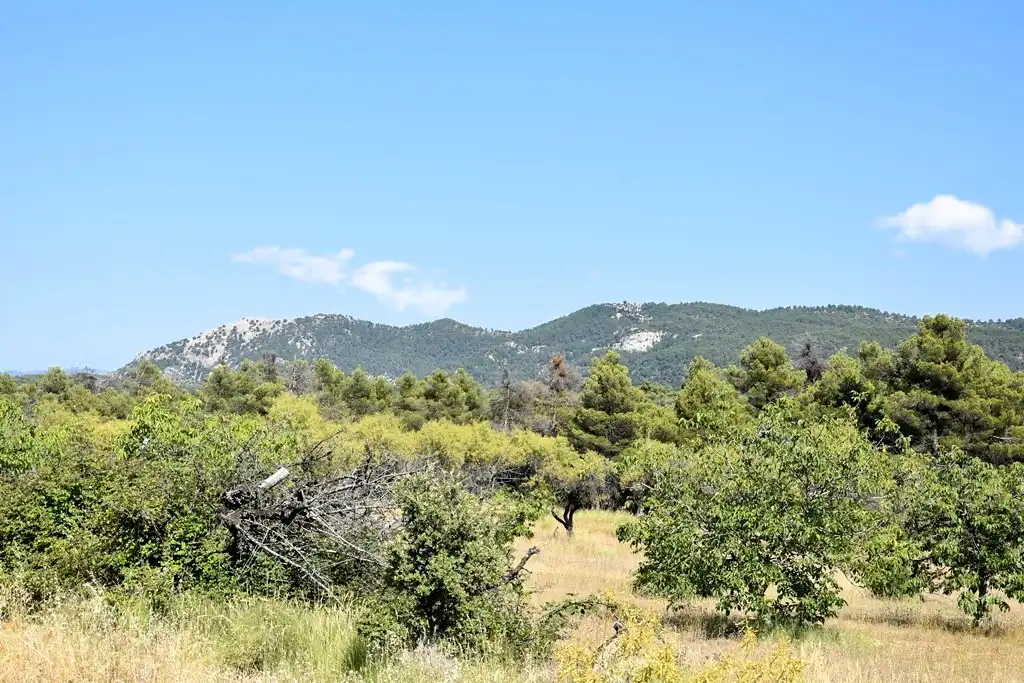 Industrial land for sale in Fuentespalda