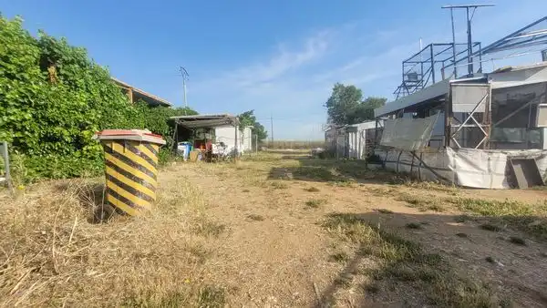 Rural land for sale in Calle Lavanda, imagen 4