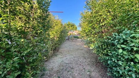 Foto 4 de Casa o chalet en venta en Comesaña - Matamá, Vigo