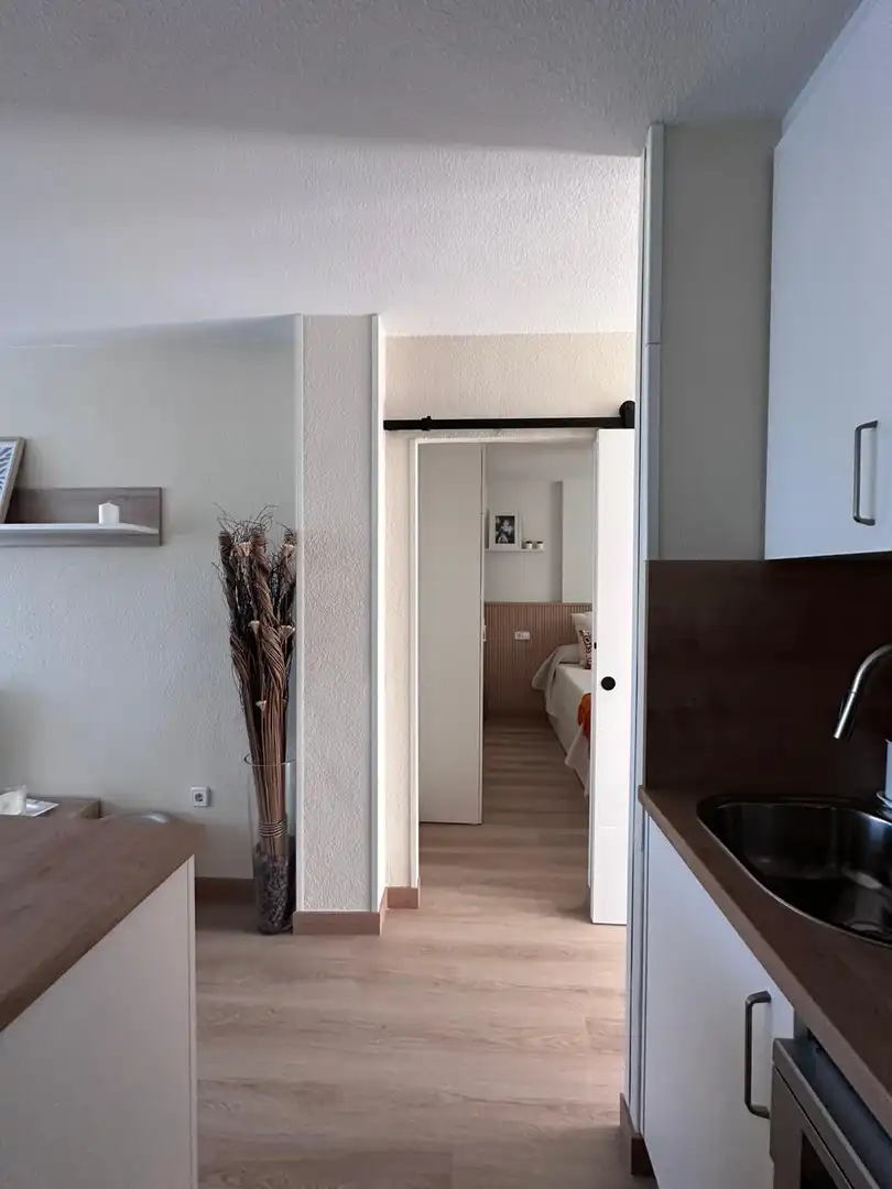 Flat for rent in de Holanda, Mil Palmeras