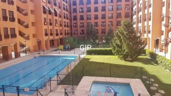 Swimming pool of Apartments for rent in Madrid  with Air Conditioner, Heating and Furnished
