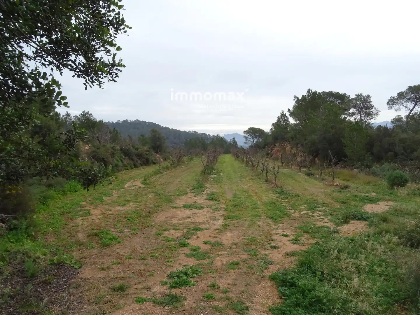 Residencial en venta en Benifallet